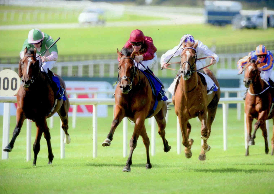 Obliterator The Curragh 14th Sept